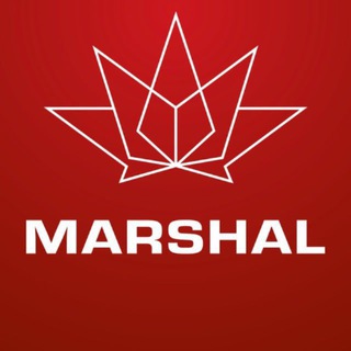 Telegram channel АЗС Marshal logo