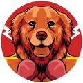 Telegram kanalining logotibi marshallinueth — Portal - MRI -Marshall Inu
