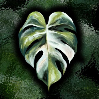 Telegram channel Комнатные Растюшки🌿 logo