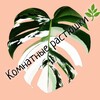 Логотип телеграм канала @marsol_plants — Комнатные Растюшки🌿