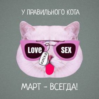 Логотип телеграм канала @martcats — Мартовский кот 😻