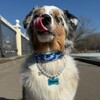 Логотип телеграм канала @marthaomg — 🐣МАРТА OMG🐾