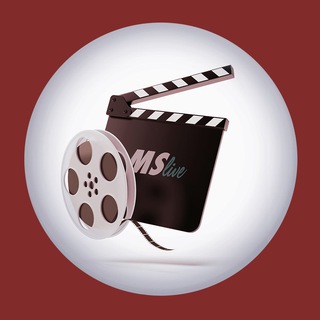 Logo of telegram channel martinsellnervideos — 🎦 Martin Sellner - Videos & Audios