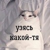 Logo of telegram channel martletloveshenjiu — Martlet-kun 🔞