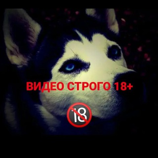 Логотип телеграм канала @marusia_malaia_elanka — Маруся из Малой Еланки