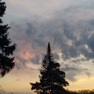 Логотип телеграм канала @mary8pictures — mary___8