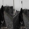 Логотип телеграм канала @marys0lc0xi — ⋆✶ⲘꫝɽɣⲊøł'𐌂øҳɨ||♪