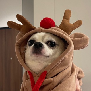 Логотип телеграм канала @maryymmee — finesmary💅🏼💅🏼💅🏼