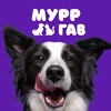 Логотип телеграм канала @mascotas_favoritas — МуррГав