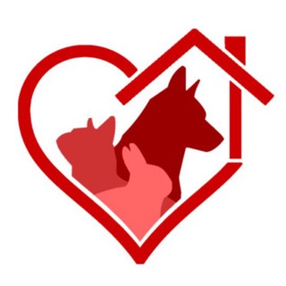 Logotipo del canal de telegramas mascotasadopcion - Mascotas Adopción