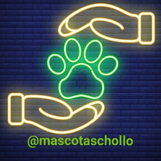 Telegram channel MASCOTASCHOLLO 🐕‍🦺🐶🐈 🐦🐹🐁🐍Chollos mascota descuentos y ofertas perros gatos pájaros comederos jaulas comida correas libro logo