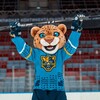 Логотип телеграм канала @mascotleo — Тот самый леопард Лео