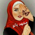 Logo saluran telegram mashadbanou — 🌸 مشهد بانو🌸