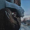 Логотип телеграм канала @mashaizeralashaa — маруся