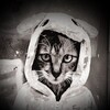 Логотип телеграм канала @mashalelyanova — lelyanova 🇷🇺