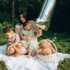 Логотип телеграм канала @mashalifemom — masha.life.mom