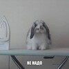 Логотип телеграм канала @mashatelovhome — машателовхоме 🧿