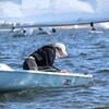 Логотип телеграм канала @mashkisorla — Маша путешественница ⛵️