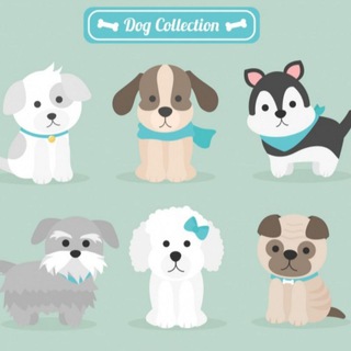 Telegram channel 🐾 Chollos para Mascotas ⭐️ Ofertas Cupones ⭐ logo