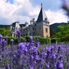 Логотип телеграм канала @massandrapalace — Массандровский дворец | Massandra palace