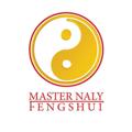 Logo saluran telegram masternalyfengshuicenter — Master Naly Feng Shui