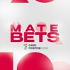 Логотип телеграм канала @matebetsssss — MATE BETS