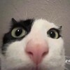 Логотип телеграм канала @matfukc — Лучшие цитаты преподов матfucka