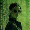 Логотип телеграм канала @matrixdl — Пифия 💻