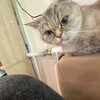 Логотип телеграм канала @matrixludik — Лудоман Тимурка кс2 EZ