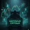 Логотип телеграм канала @matrixsatoshi — матрица Сатоши