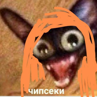 Логотип телеграм канала @matroskina_memes — Матроскины мемы