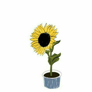 لوگوی کانال تلگرام mavi_2 — 🌻