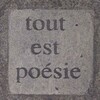Логотип телеграм канала @mavieestpoesie — tout est poésie
