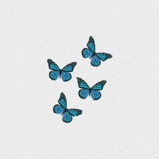 Telgraf kanalının logosu maviikelebek7 — 🦋Mavi Kelebek Diyarı🦋