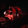 Логотип телеграм канала @mawesbeats — MAWES