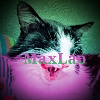 Логотип телеграм канала @maxlaoso2 — MaxLao-_-standoff 2