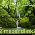لوگوی کانال تلگرام mazandlink2 — 🌲 لینکدونی مازنی 🌲