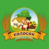 Логотип телеграм канала @mbdoy_205 — МБДОУ детский сад N 205 "Колосок"