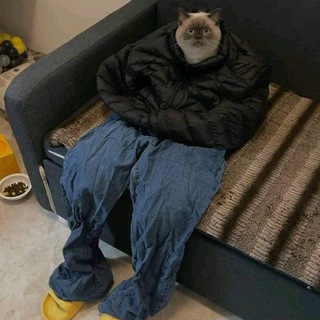 Логотип телеграм канала @mbpolezno — Dilnora