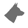 Логотип телеграм канала @mbu_chisty_gorod — Приют «Чистый город»