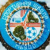 Логотип телеграм канала @mbudo_sh_lk — МБУДО СШ "Ледовый дворец"