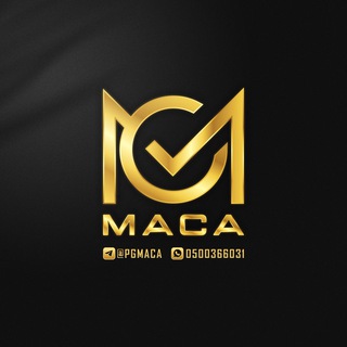 Logo saluran telegram mc_accounts — • MC ACCOUNTS