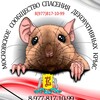 Логотип телеграм канала @mccdk — МССДК (Московское сообщество спасения декоративных крыс) *8(977)817-10-99*
