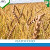 Логотип телеграм канала @mcx_kuzbass — Минсельхоз Кузбасса