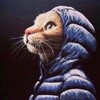 Логотип телеграм канала @mddstt — mddstt
