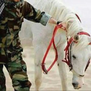 لوگوی کانال تلگرام mealmhaqer — 🍃•فہۣۙرسہۣۙانَ•💐° ۣۙالہۣۙجہۣۙهہۣۙاد✌️••