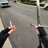 Логотип телеграм канала @measkmealot — застенчивые джунгли