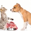 Логотип телеграм канала @meat_pets — meat.pets - Мясо питомцам. 🔥🔥🔥Натуральная продукция для Ваших питомцев 🥩