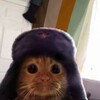 Логотип телеграм канала @meatdonor — привет, сука. удобно тебе сейчас?