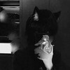Telegram channel やみねこ logo